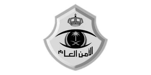 Public Security